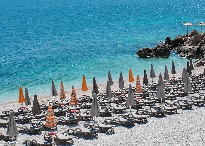 Beautifull View 라벡